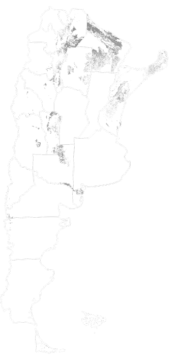 Mapa de zonas de bosque nativo sin categoría de conservación en Argentina