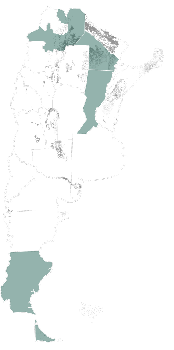 Mapa de zonas de bosque nativo sin categoría de conservación en Argentina